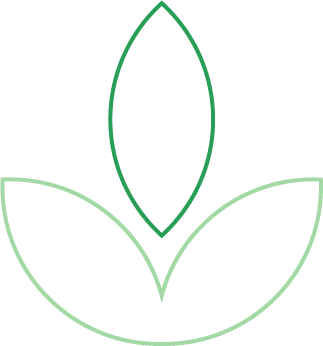 Minimal flower or botanical symbol in green line art