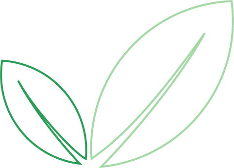 Minimal green leaf icon representing natural or botanical ingredients